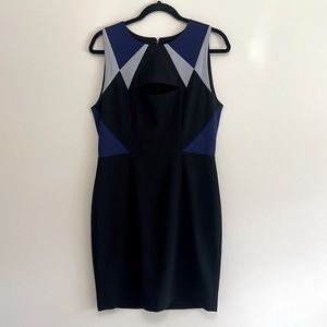 Bcbgmaxazaria size 10 business casual dress